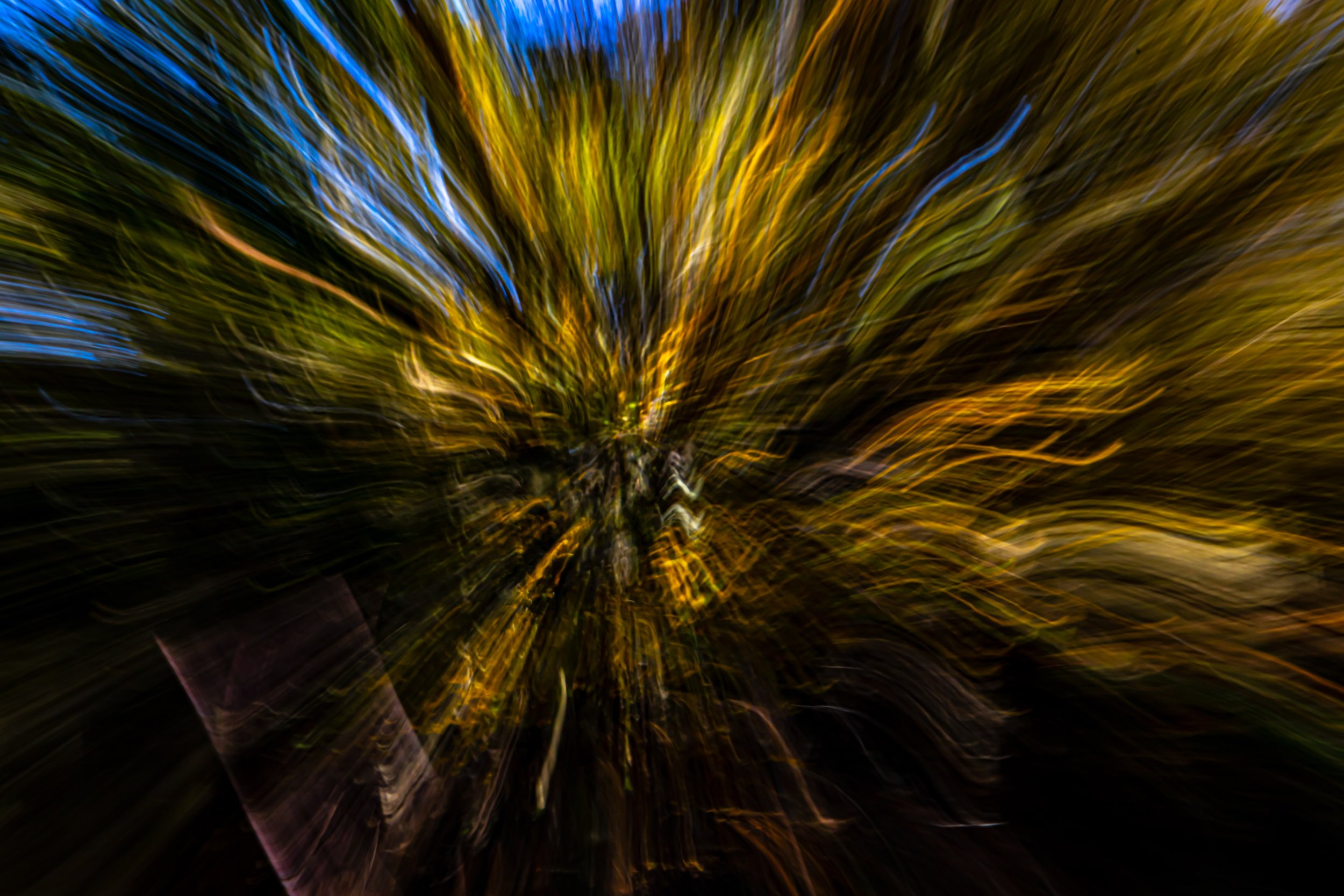 _MG_3623.jpg