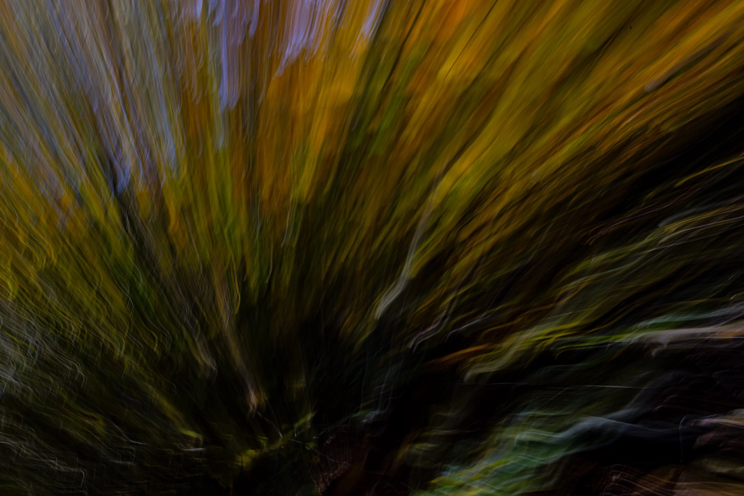 _MG_3741.jpg