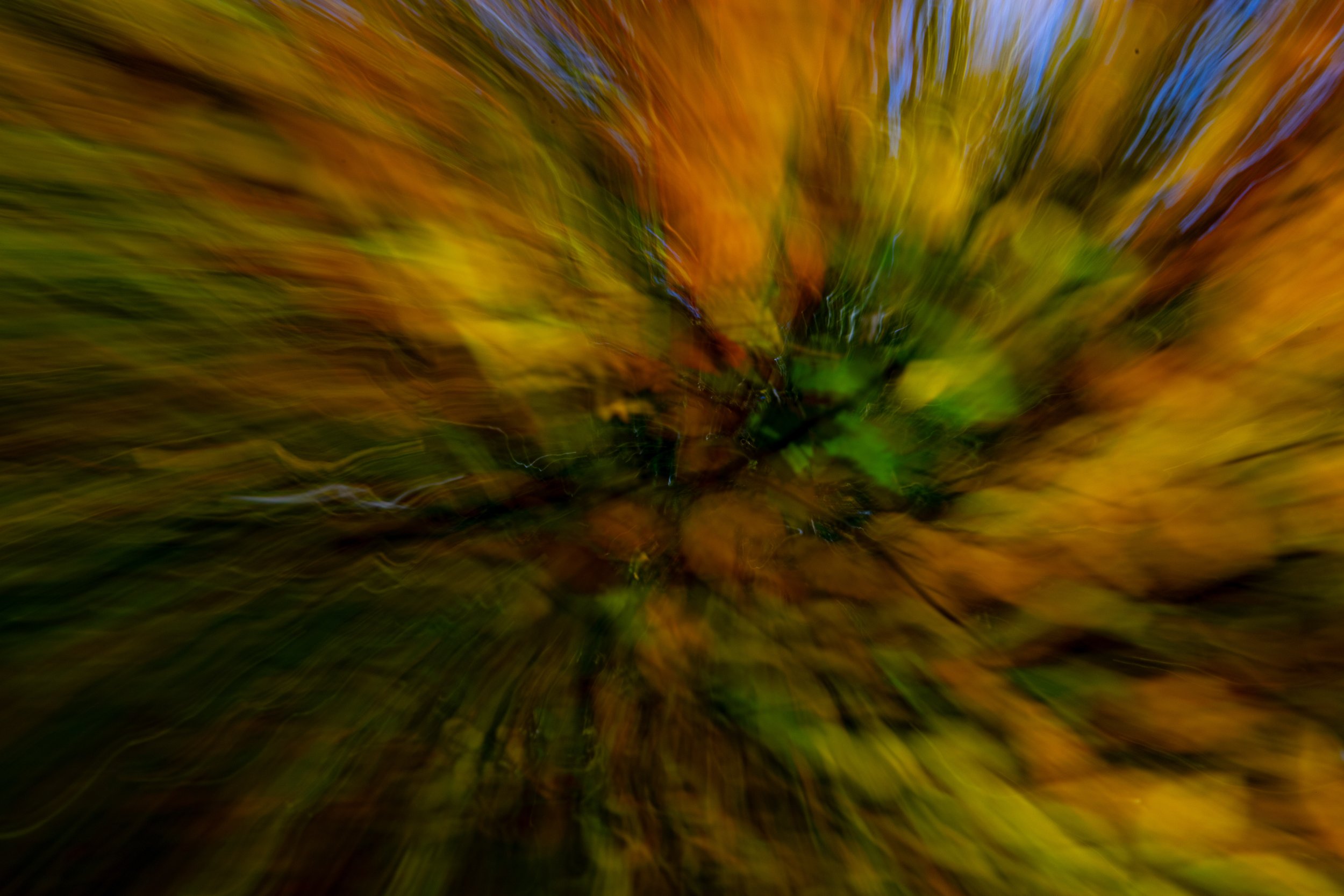 _MG_3736.jpg
