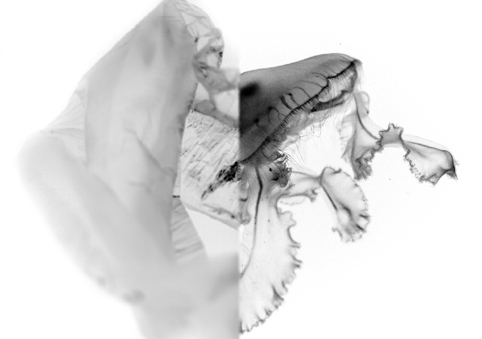 Screenshot (1353).png