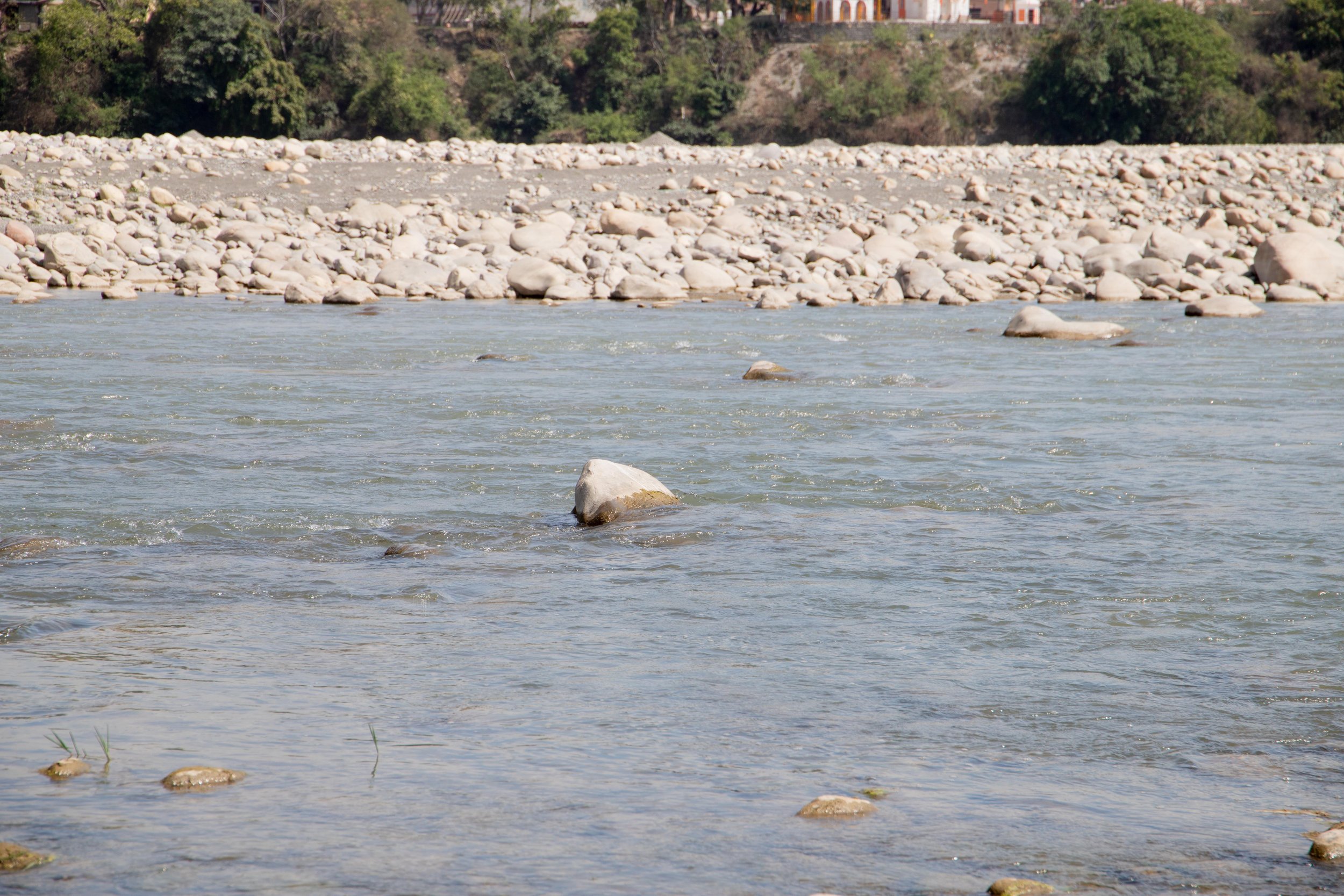_MG_1245.jpg