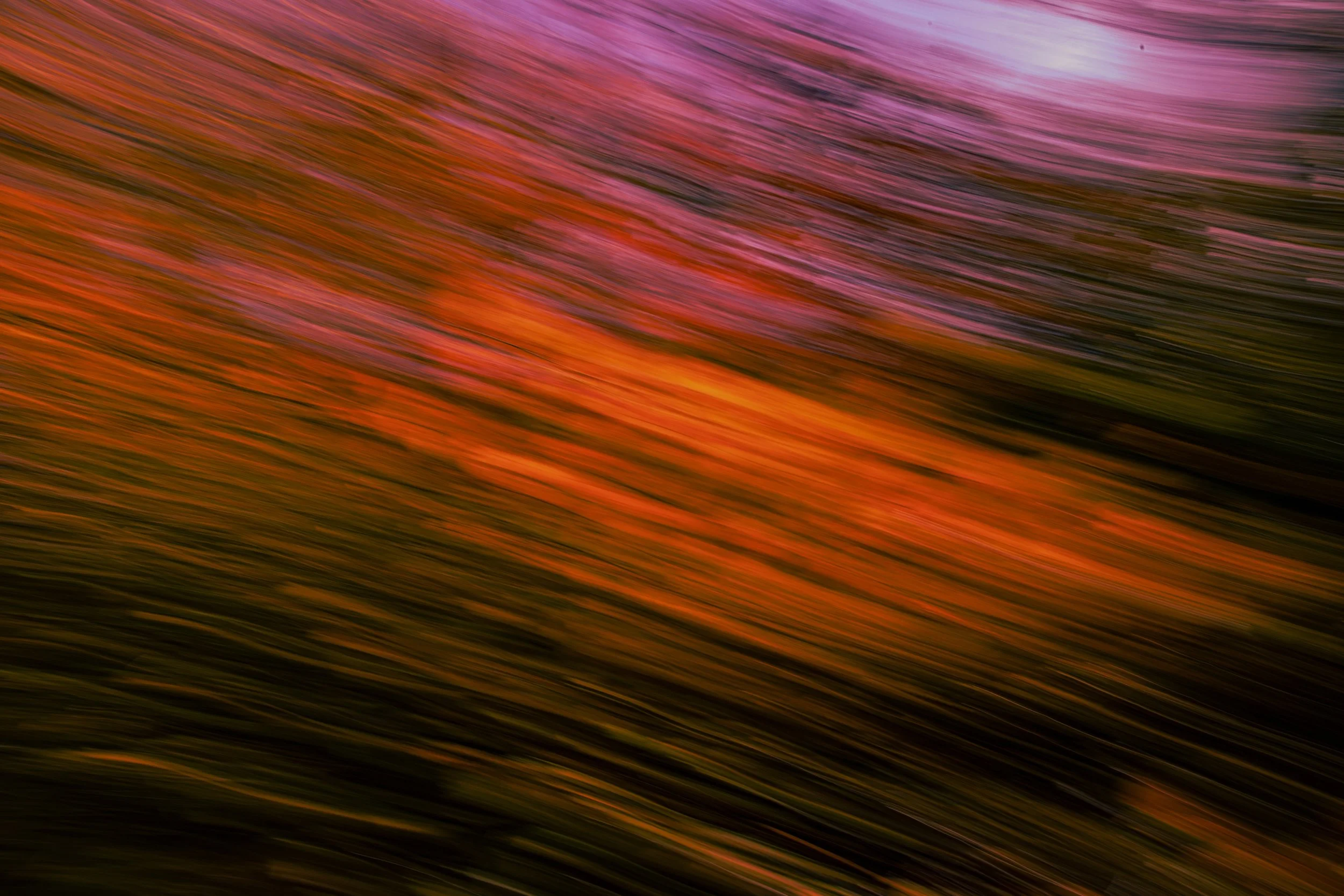 _MG_3763.jpg