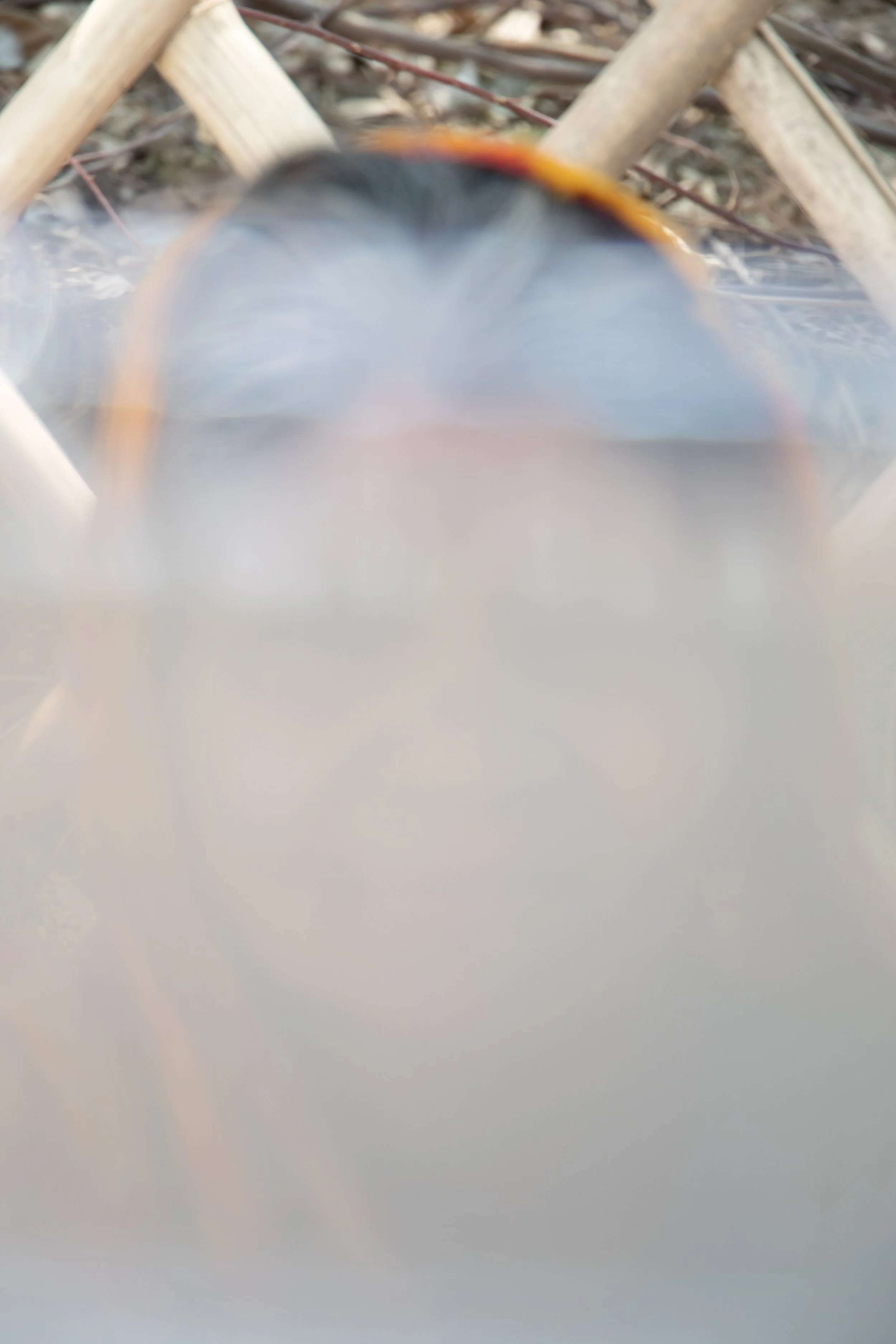 _MG_2262.jpg