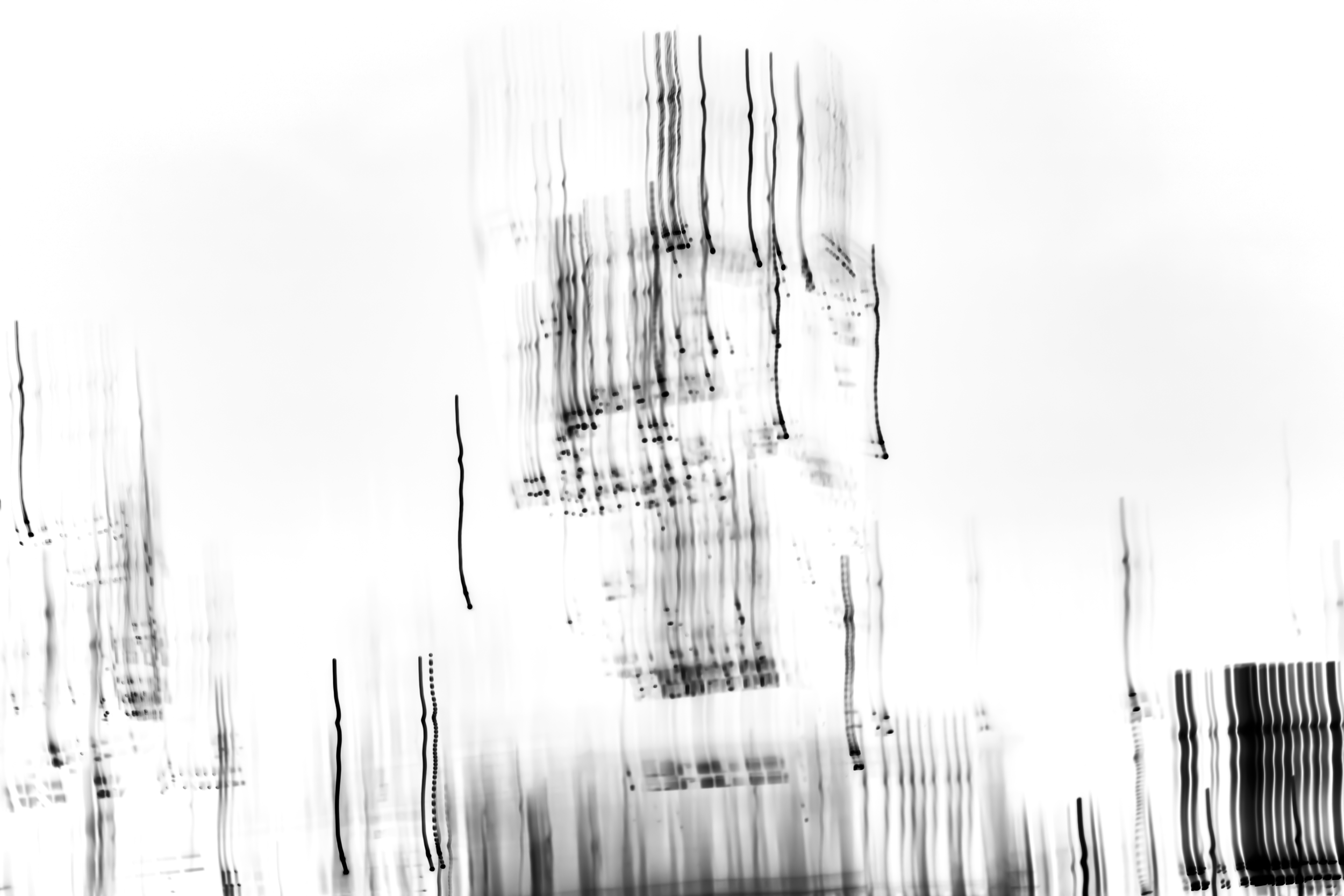 _MG_4068.png