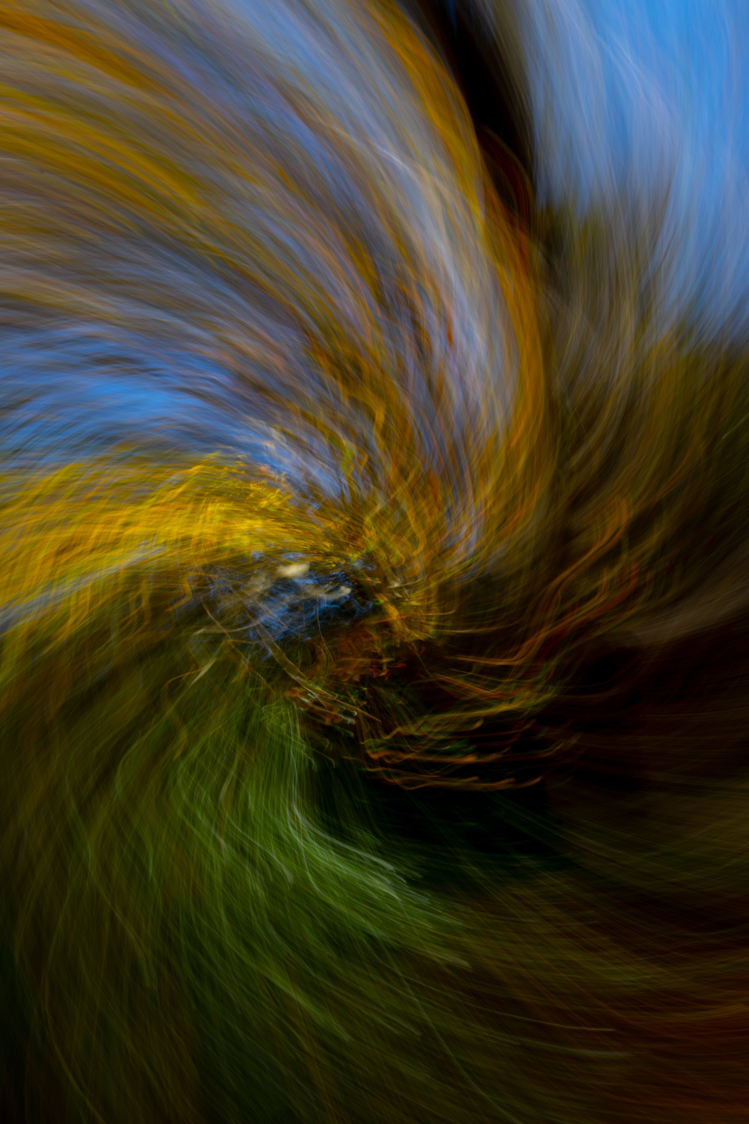 _MG_3680.jpg