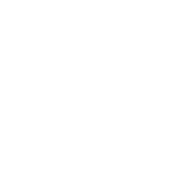 new-website-clients-national_payment_systems.png