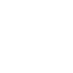 new-website-clients-pegoraro_auto_repair.png