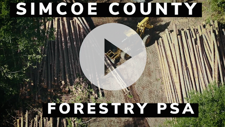 forestry.gif
