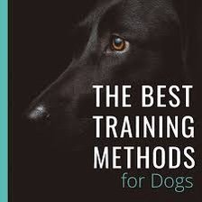 What the most common dog training methods and philosophies?