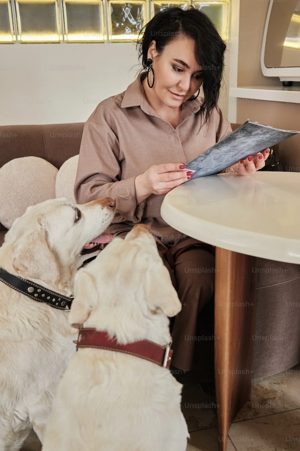 Dealing with Dog Behavior Woes: 5 Common Problems and Their Solutions