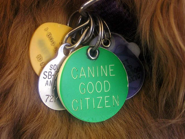 The AKC Canine Good Citizen™ (CGC) Program: Building Better Bonds Between Dogs and Owners