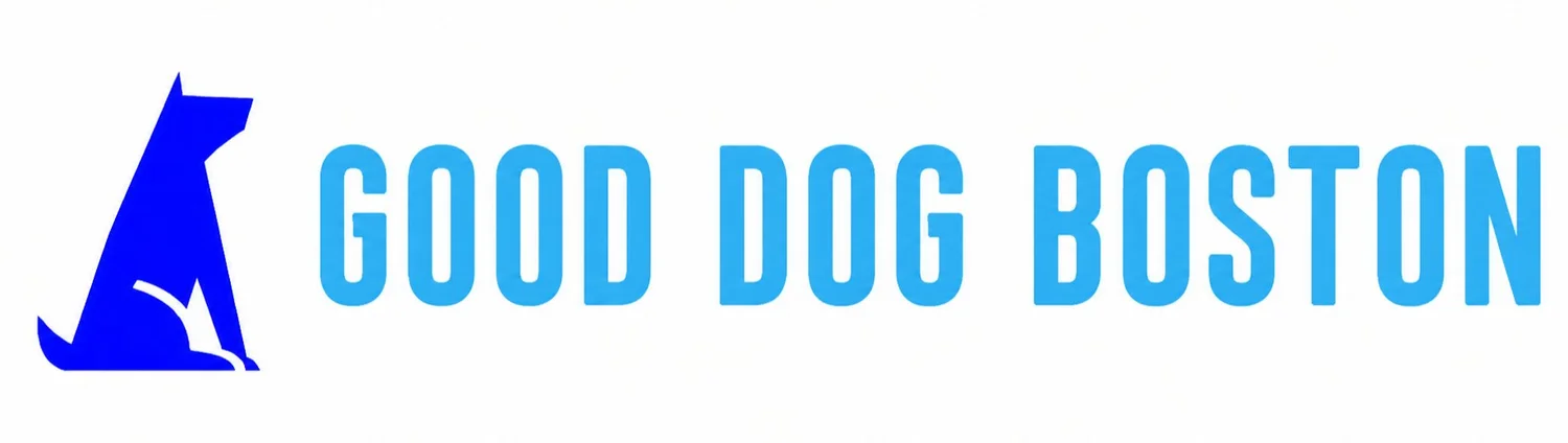 Good Dog Boston