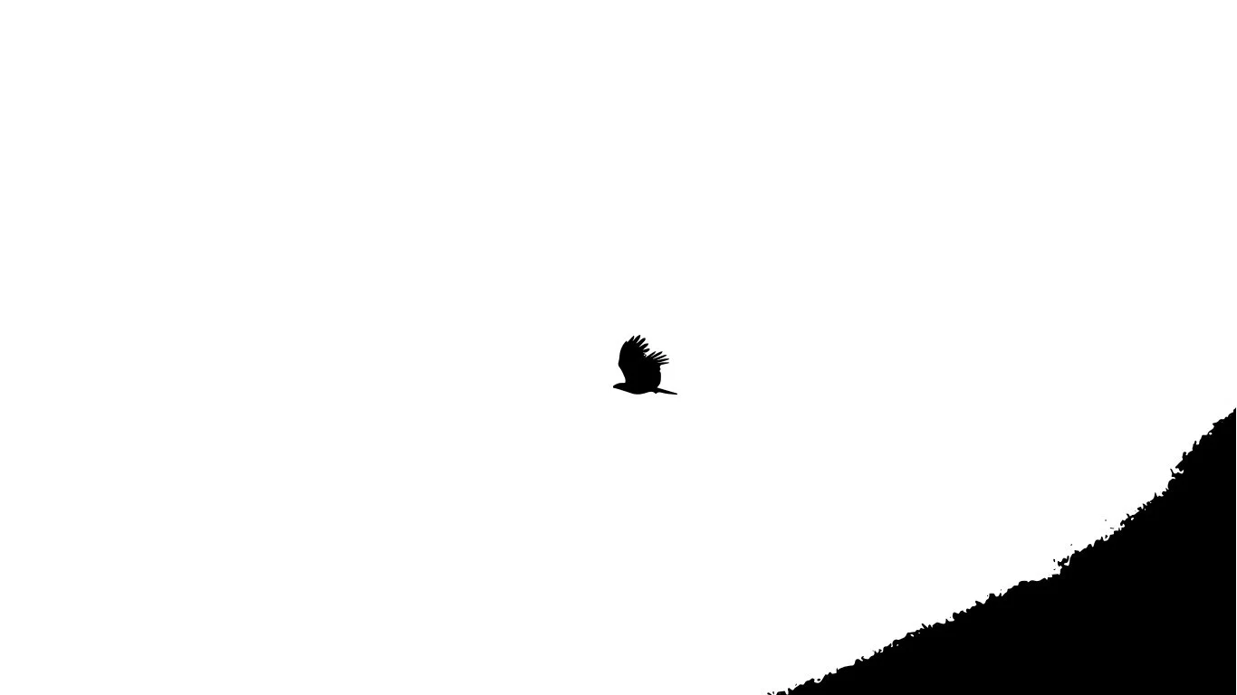 BIRD.jpg
