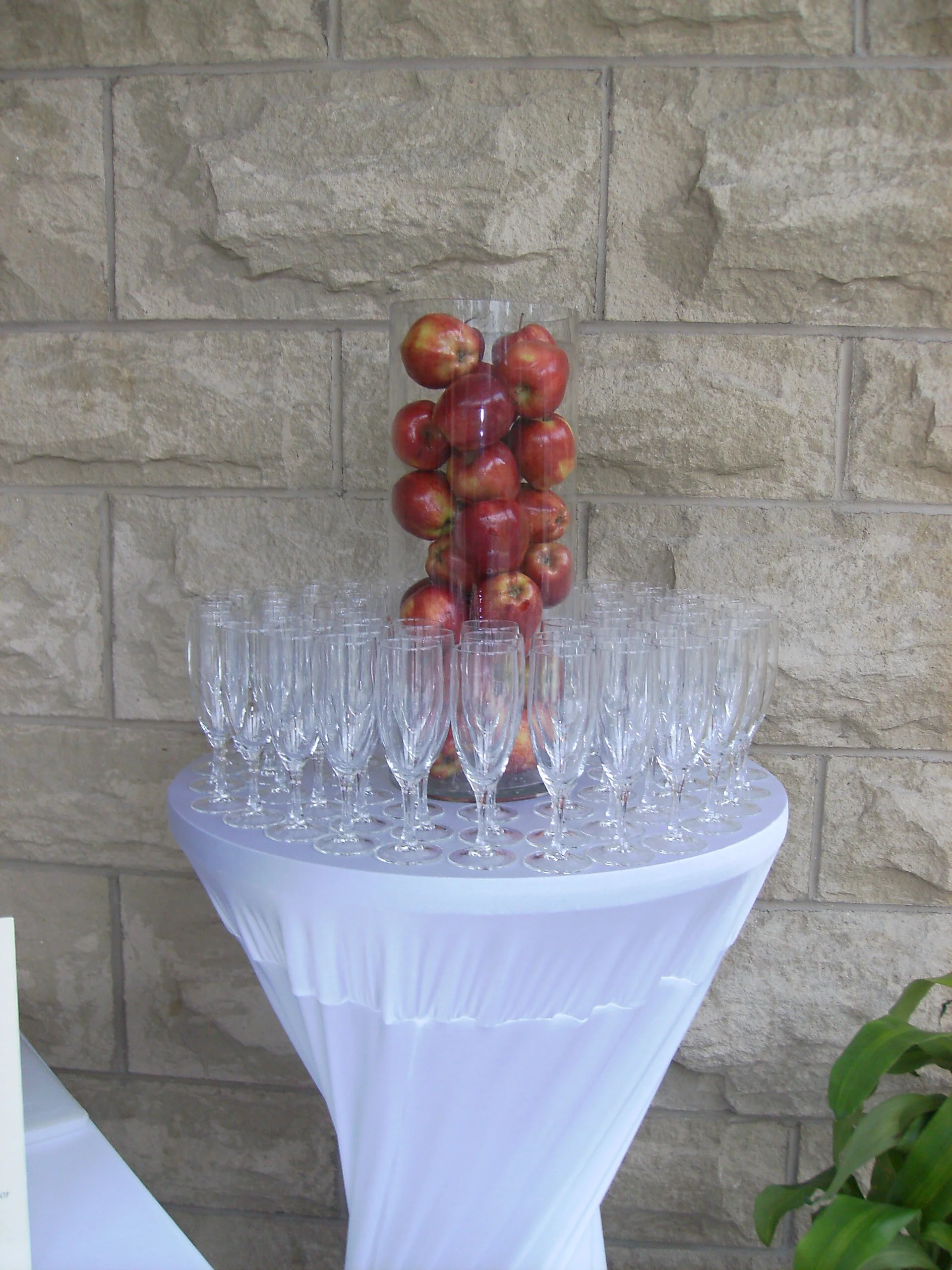 PMCFR 2008 089.JPG