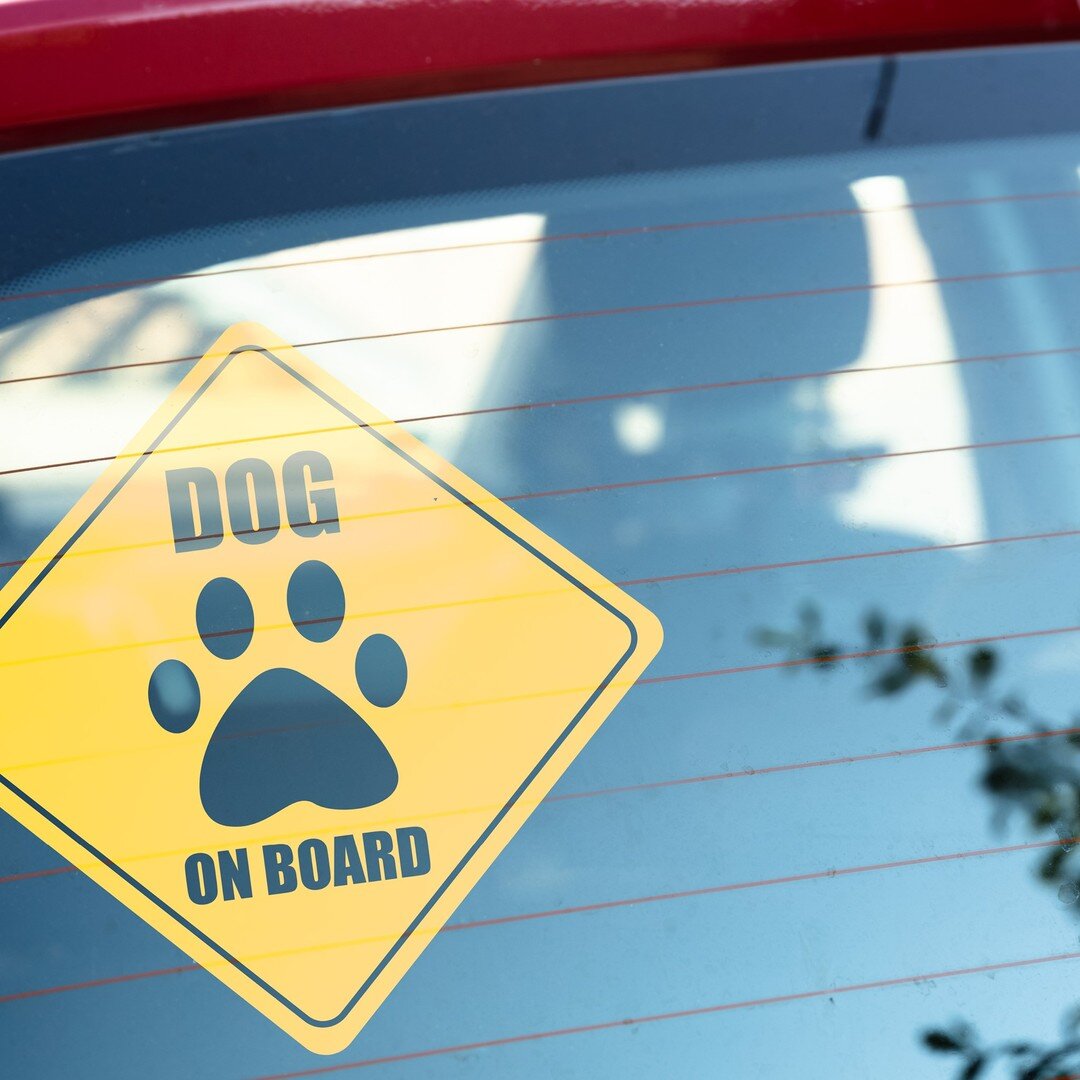 Before you go on a trip, make sure you have this sticker so that everyone passing by knows you have a charming, adorable, and lovely pet inside your car!

Follow @arcapetlove for daily dose of p-awwww and laughs
:
:
:
:
:
#dogonboard #petsafety #pets