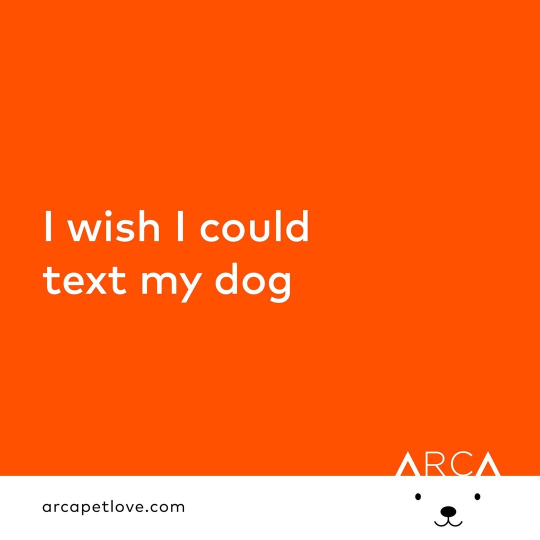 I wish I could text my dog and ask her to send me a selfie so that I never miss her when we are apart.

Follow @arcapetlove for daily dose of p-awwww and laughs
:
:
:
:
:
#arcapetlove #dogislove #lifebetterwithadog #happydoggo #lifeofpets #dailybark 