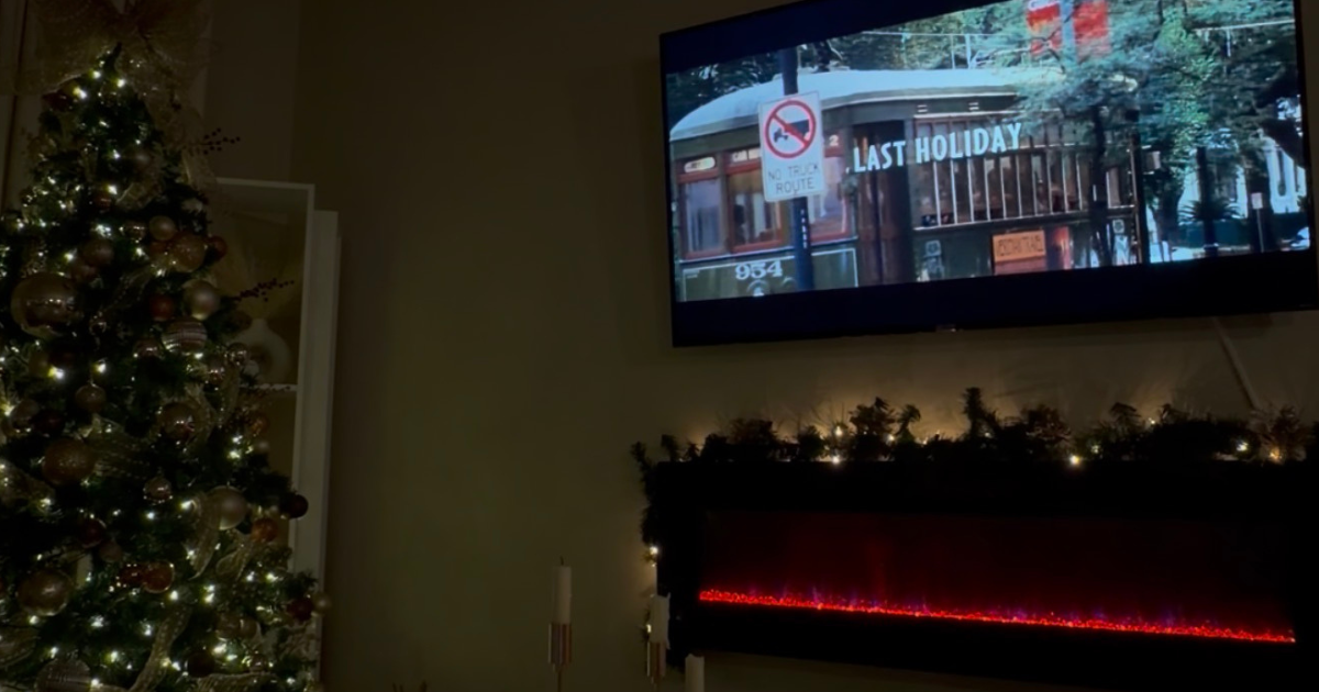 christmas tree enjoying the holiday season