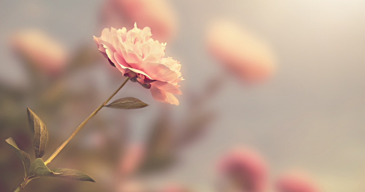 'I AM' the Evidence of Things Not Yet Seen: Desire is Proof Enough