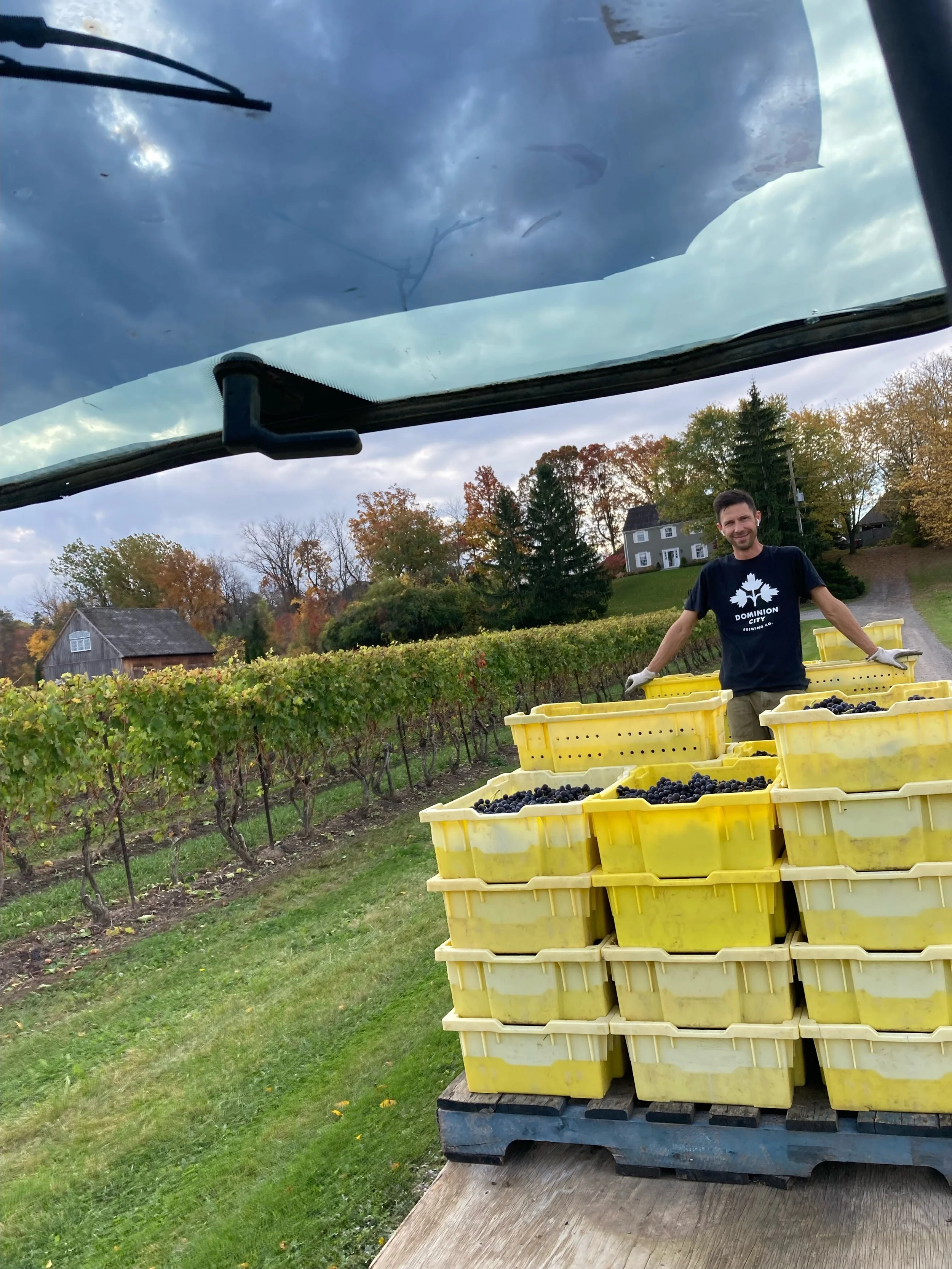 2023 Syrah