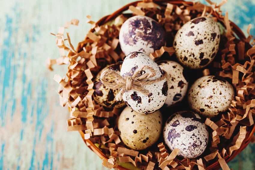 CMS dollars part I: IPPS made simple - protecting your hospital nest egg