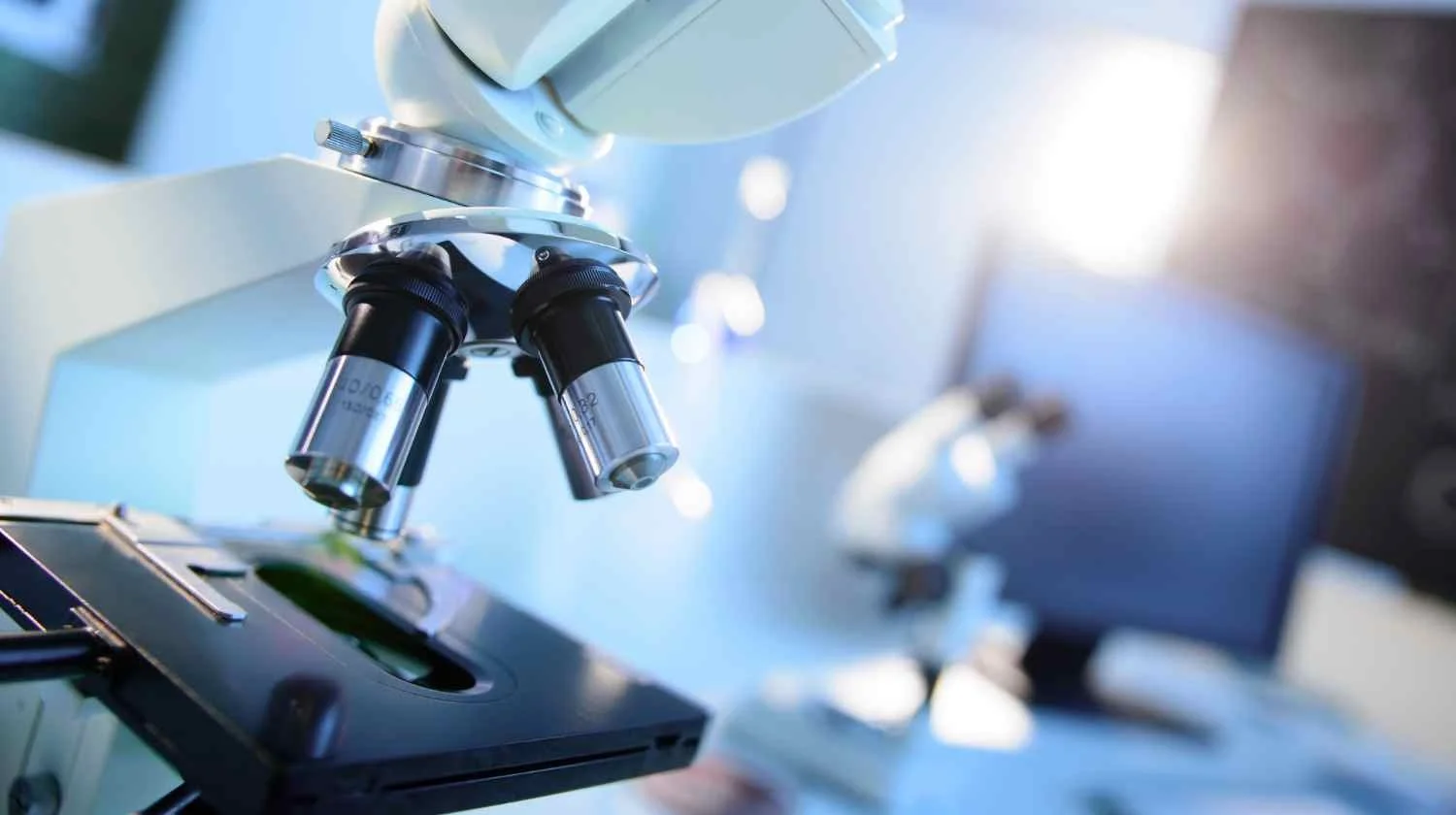 Successful AI and Automation Strategies for Life Sciences Organizations