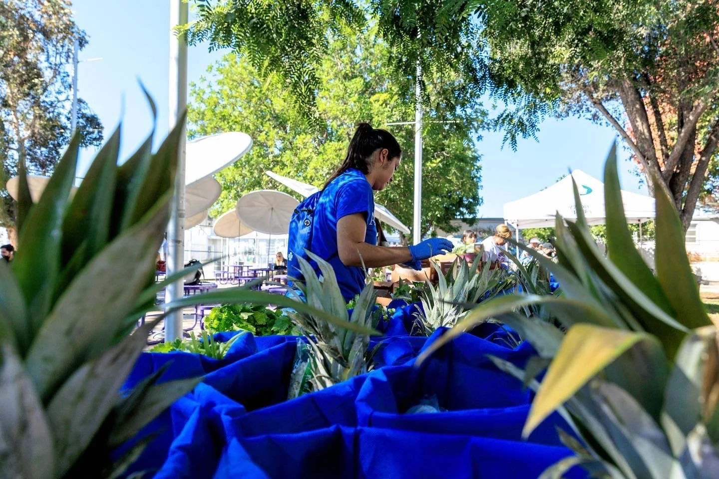 Manual Arts Produce Giveaway 