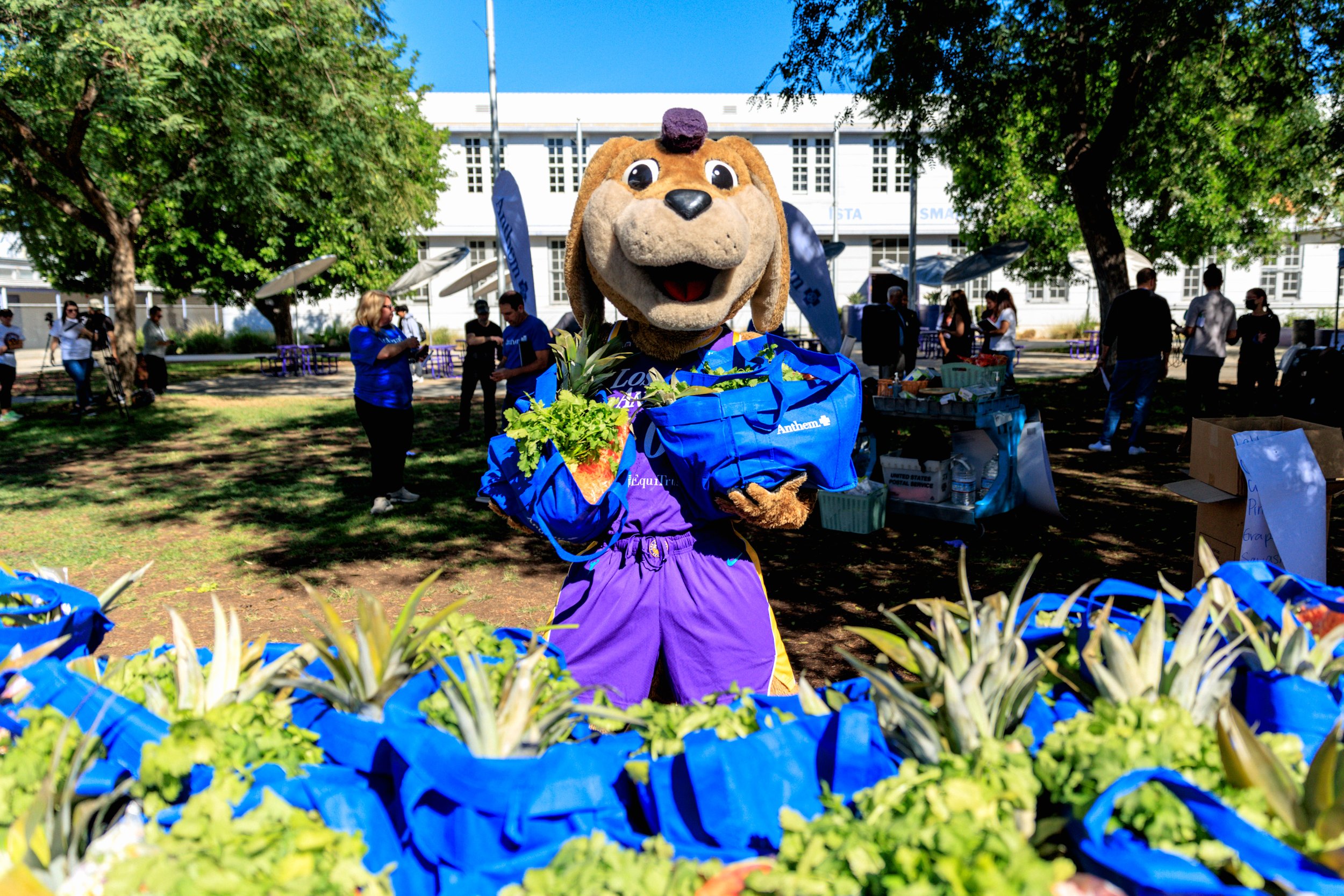 Da Vinci Connect Produce Giveaway  