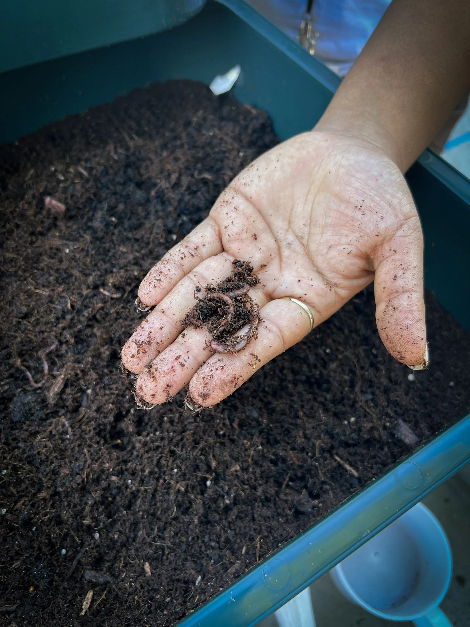 Trinity St. Elementary Parent Workshop