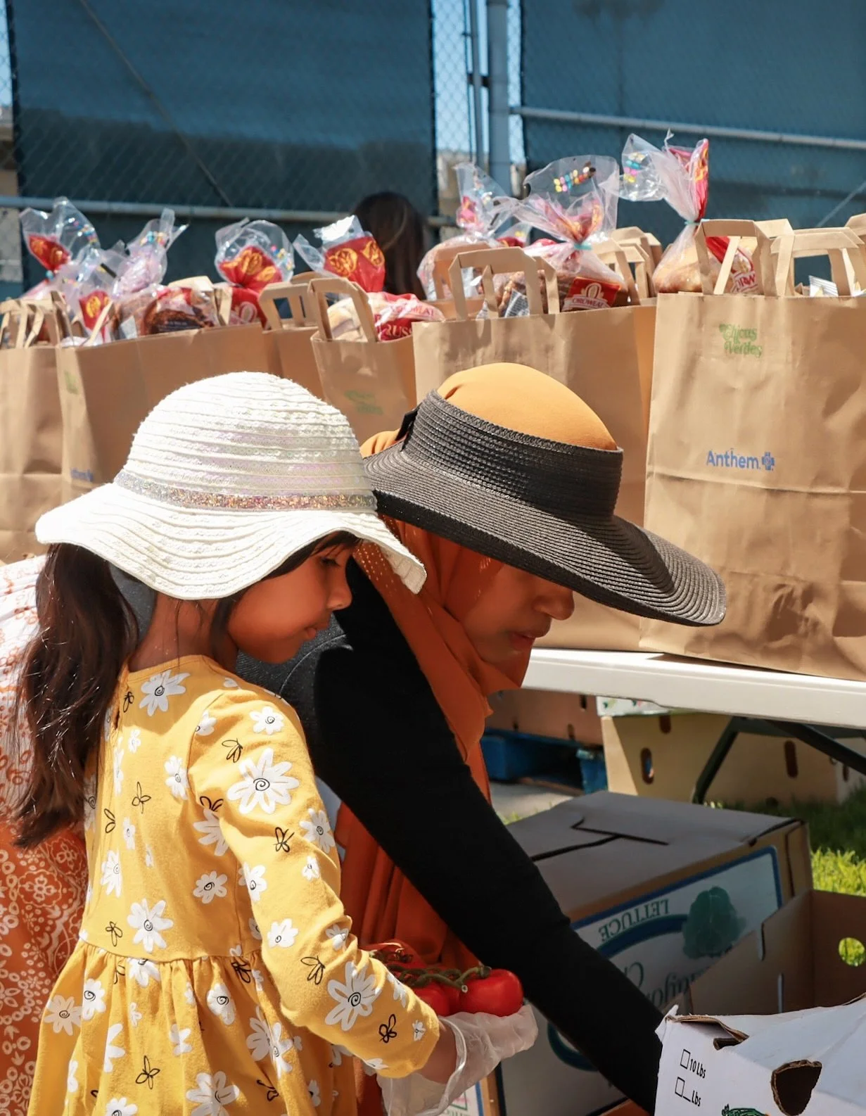 We&rsquo;re back at it today! Free produce available for pick up starting at 12:30 until we run out @davincischools_org ! 

12501 Isis Ave, Hawthorne, CA 90250

Volunteers welcome starting at 10:30! Can&rsquo;t make it today? Visit the link in our to