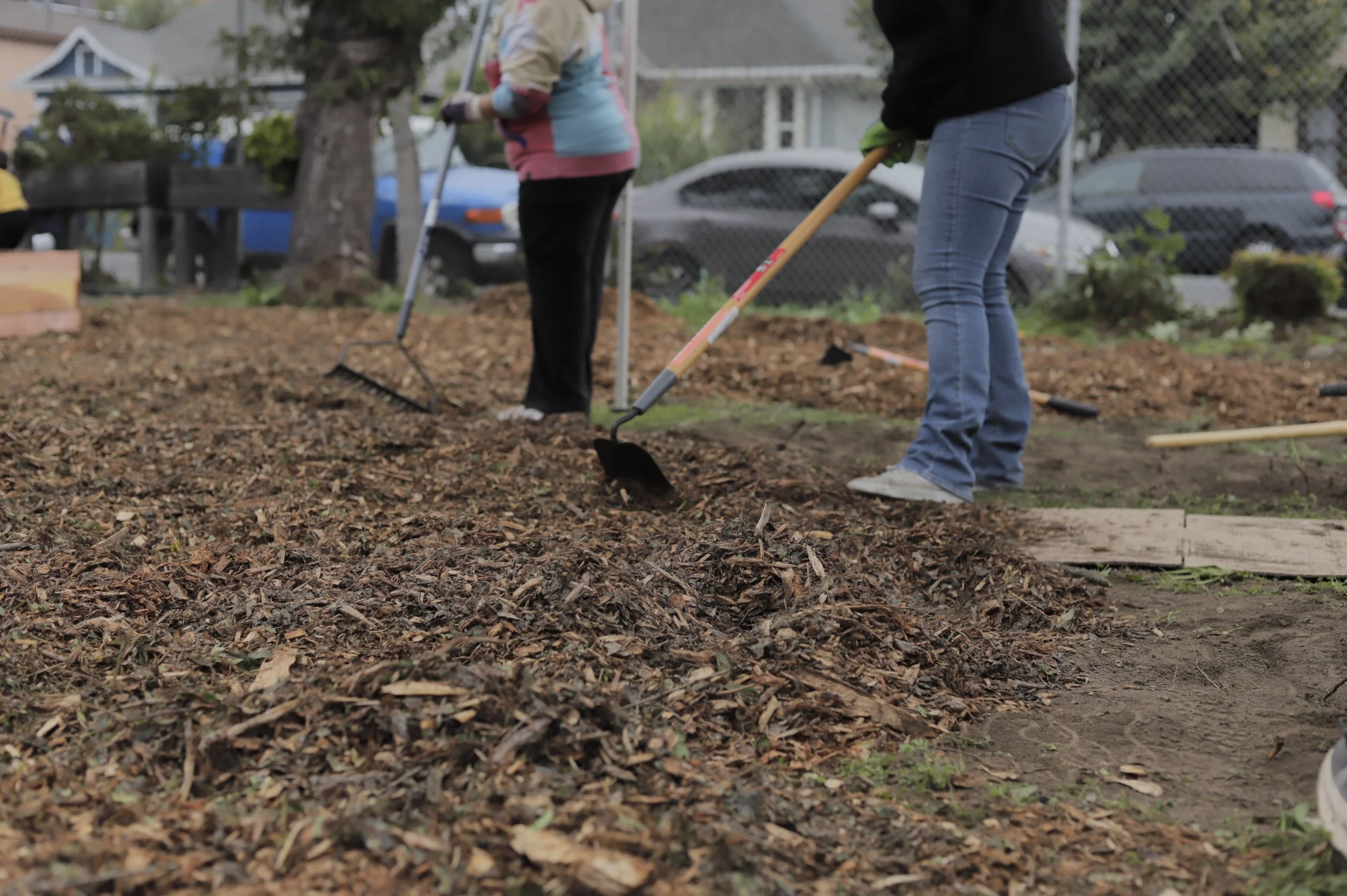 Trinity Garden Clean Up 