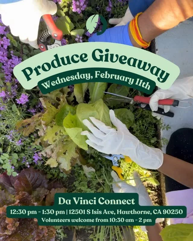 "There&rsquo;s nothing like sharing fresh food with your community and seeing the real impact it can make in people&rsquo;s lives. 💚⁠
Our @davincischools_org students have been hard at work growing food to supplement the donated produce we brin