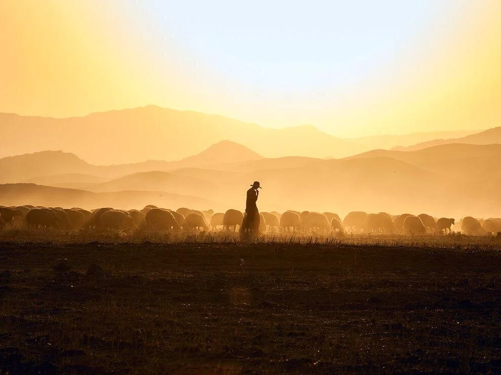 The Good Shepherd’s Good Shepherds