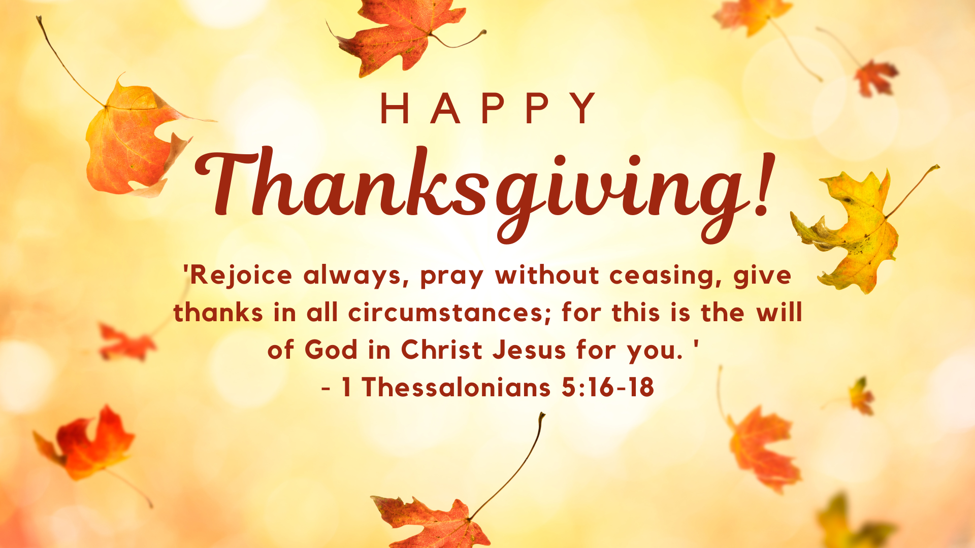 Thanksgiving Week Office Hours