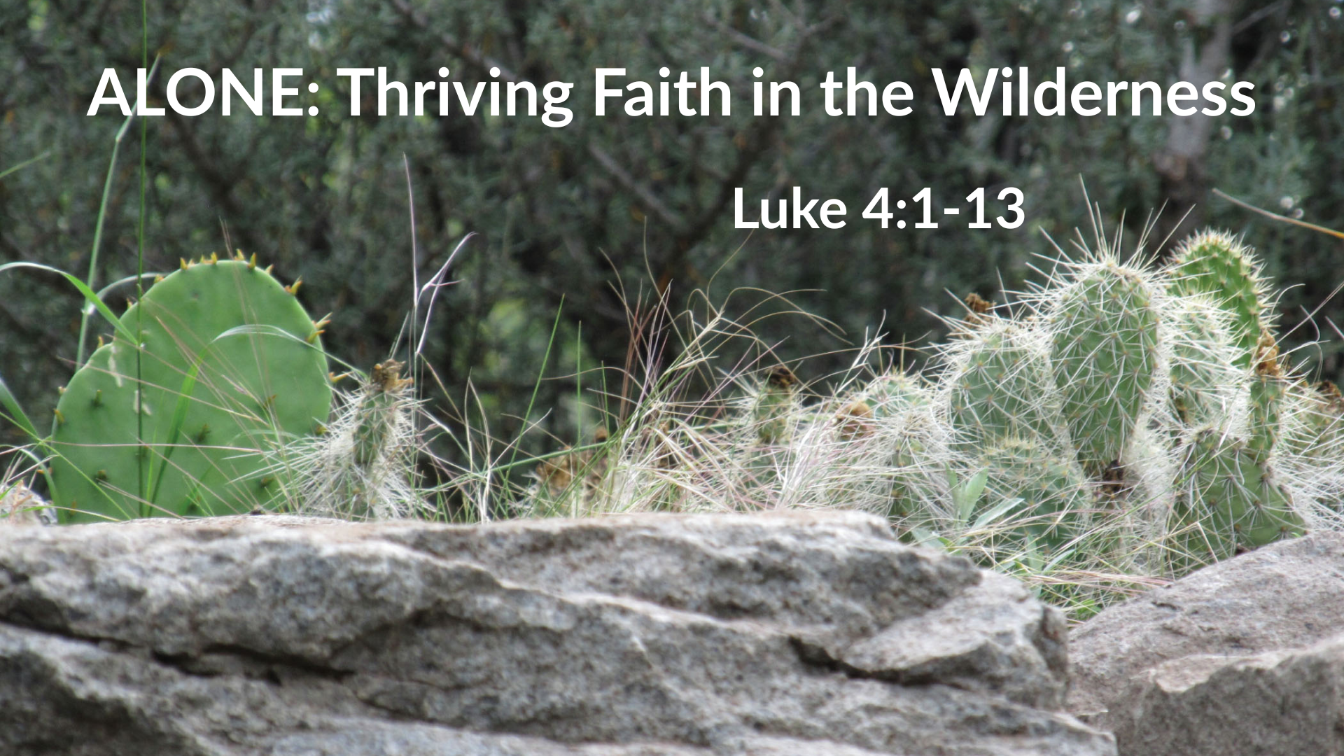 ALONE: Thriving Faith in the Wilderness