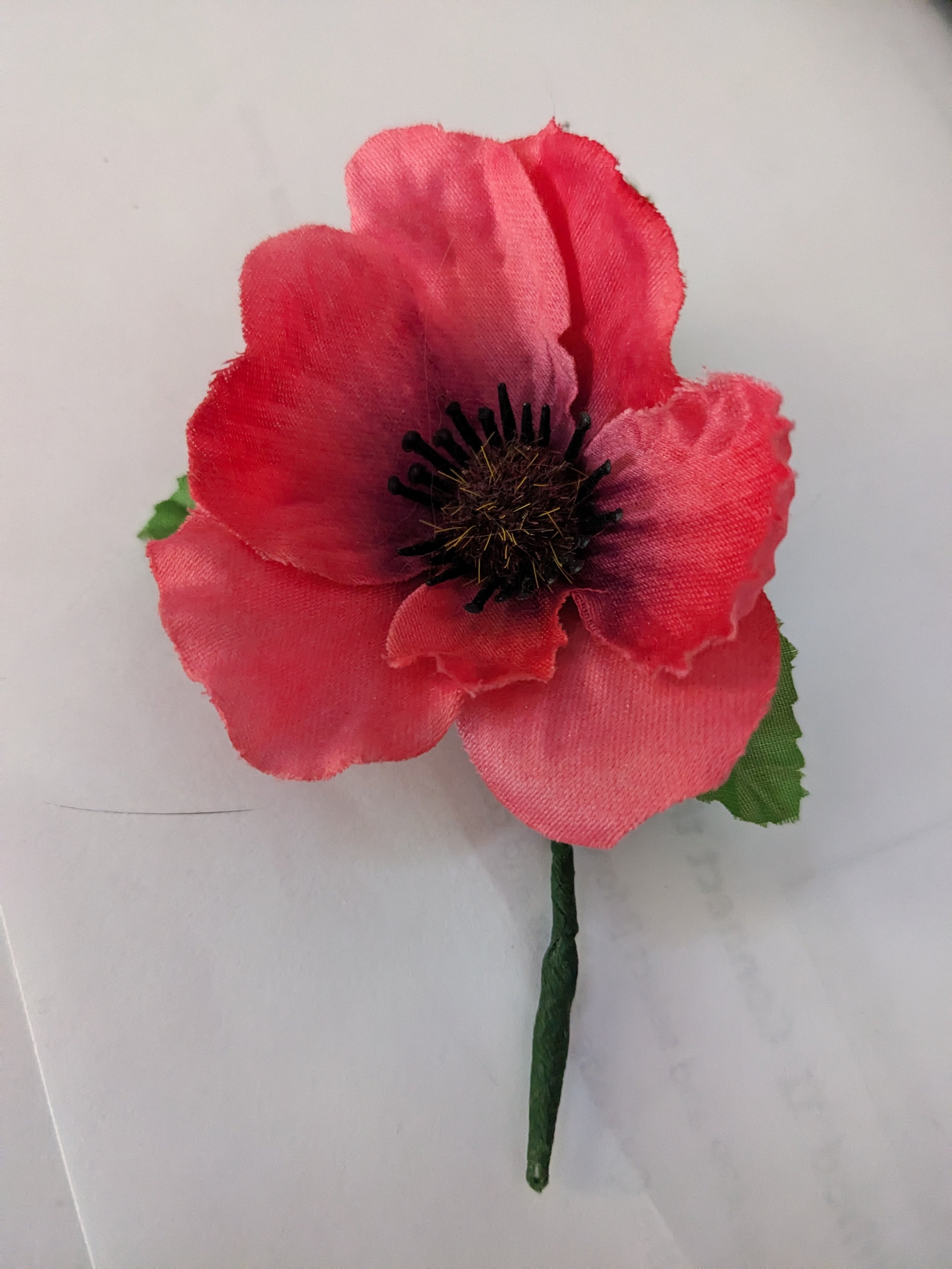 Poppy $5 (+$10.95 Flat Rate Shipping)