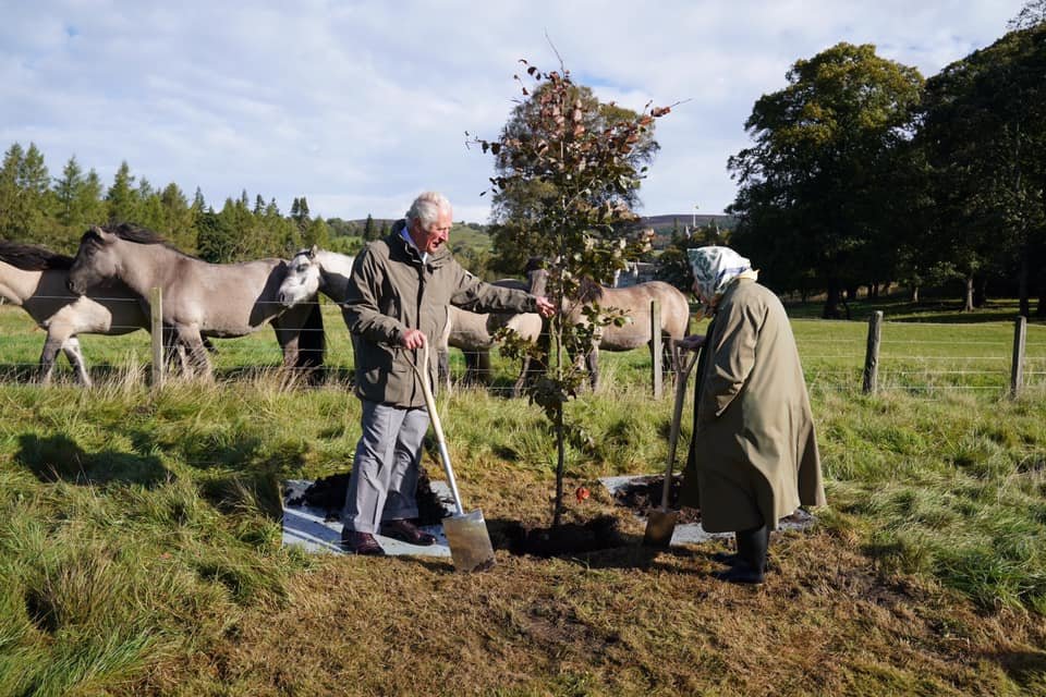 Many states and chapters within the DBE have been busily planting trees in various locations over the last few years {and will continue to do so} for the @QueensGreenCanopy 
Project, part of Queen Elizabeth II Jubilee celebrations. Today is Abor Day,