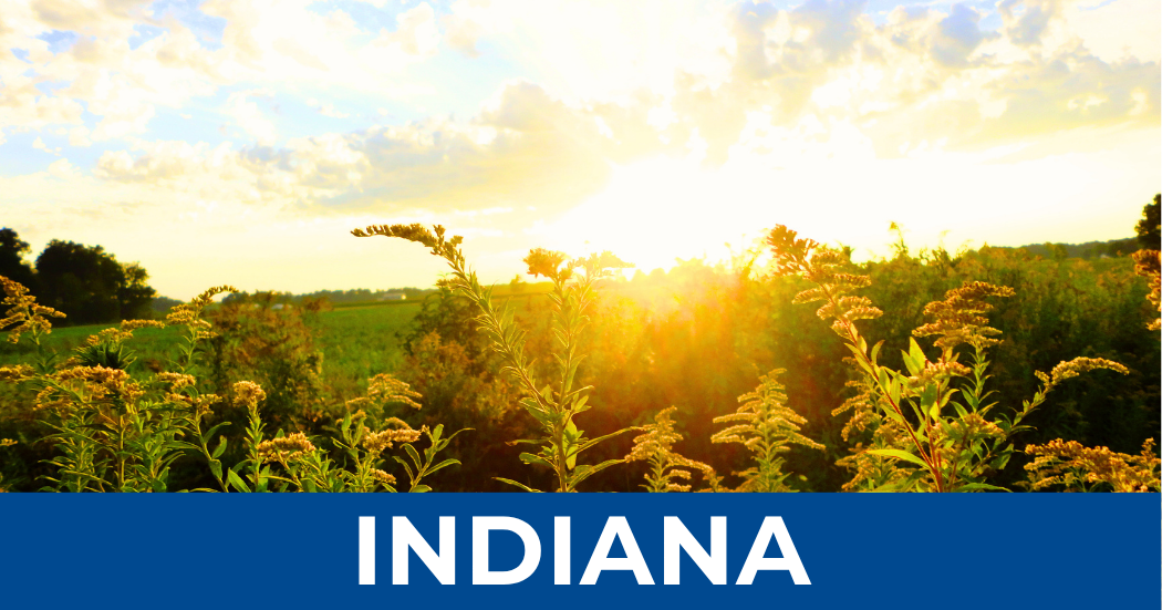 Indiana.png