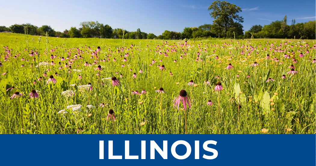Illinois.png