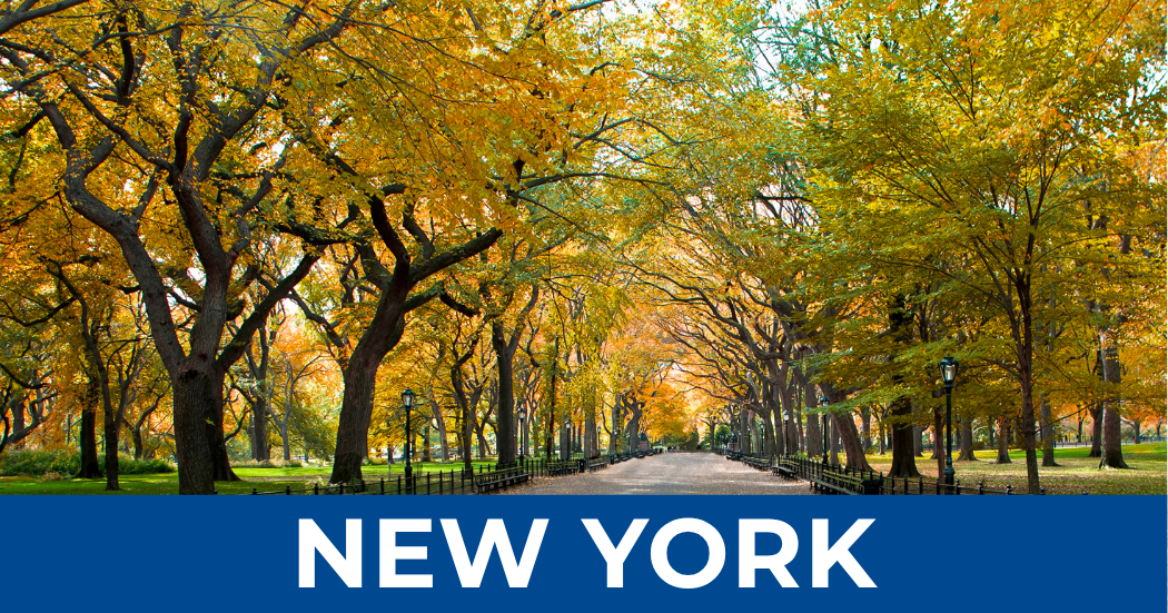 New York.png