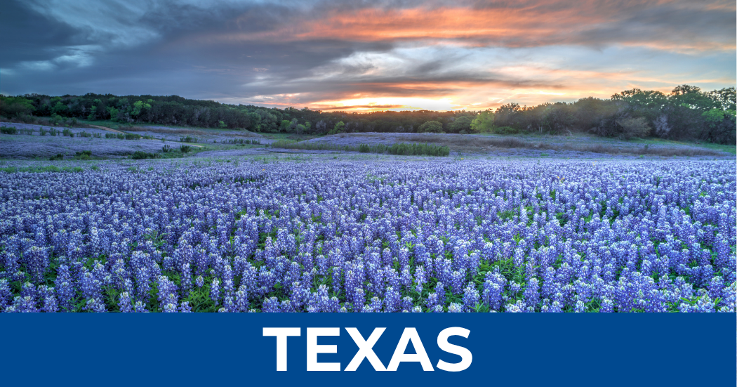Texas.png