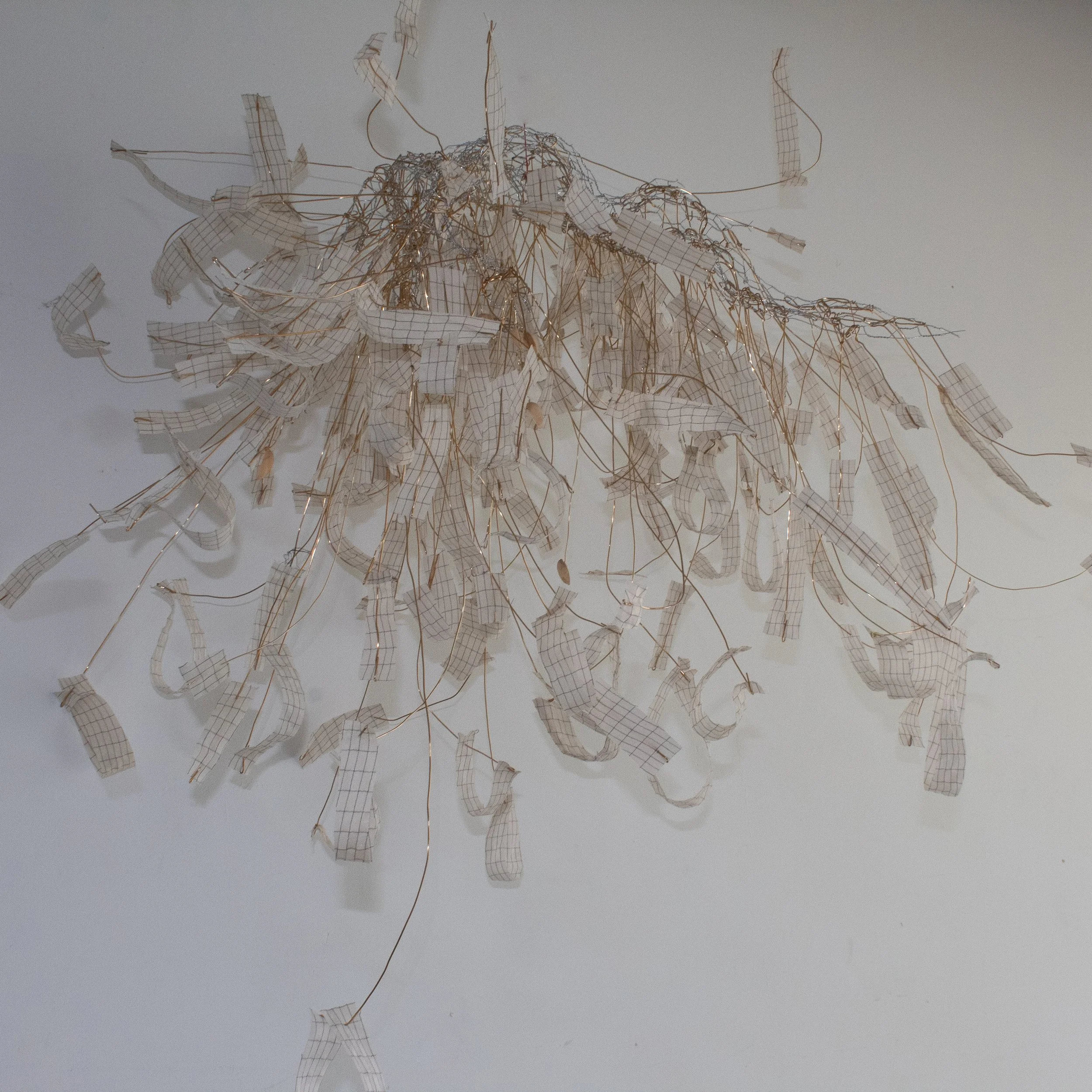 Paper Trail Womb.jpg