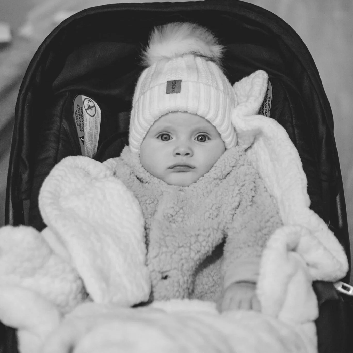 Car Seat Installation, Safety, Education. Events — Dauphin County Doulas