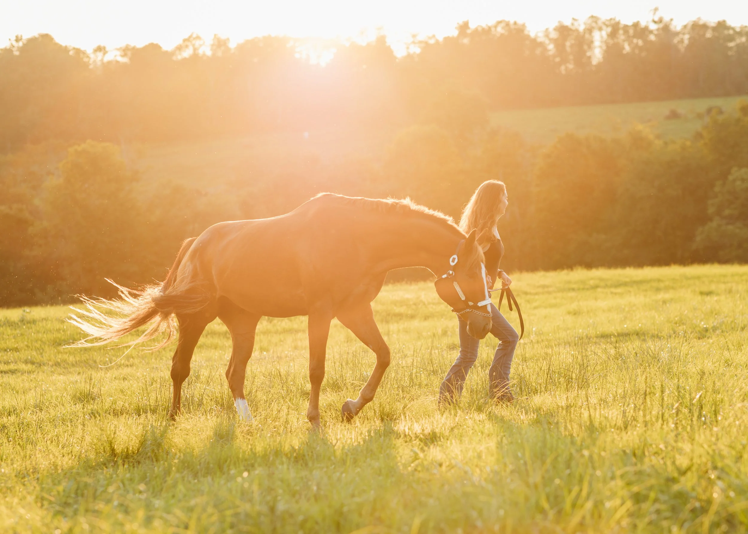2025.08.09 Erin + Archer-97.jpg