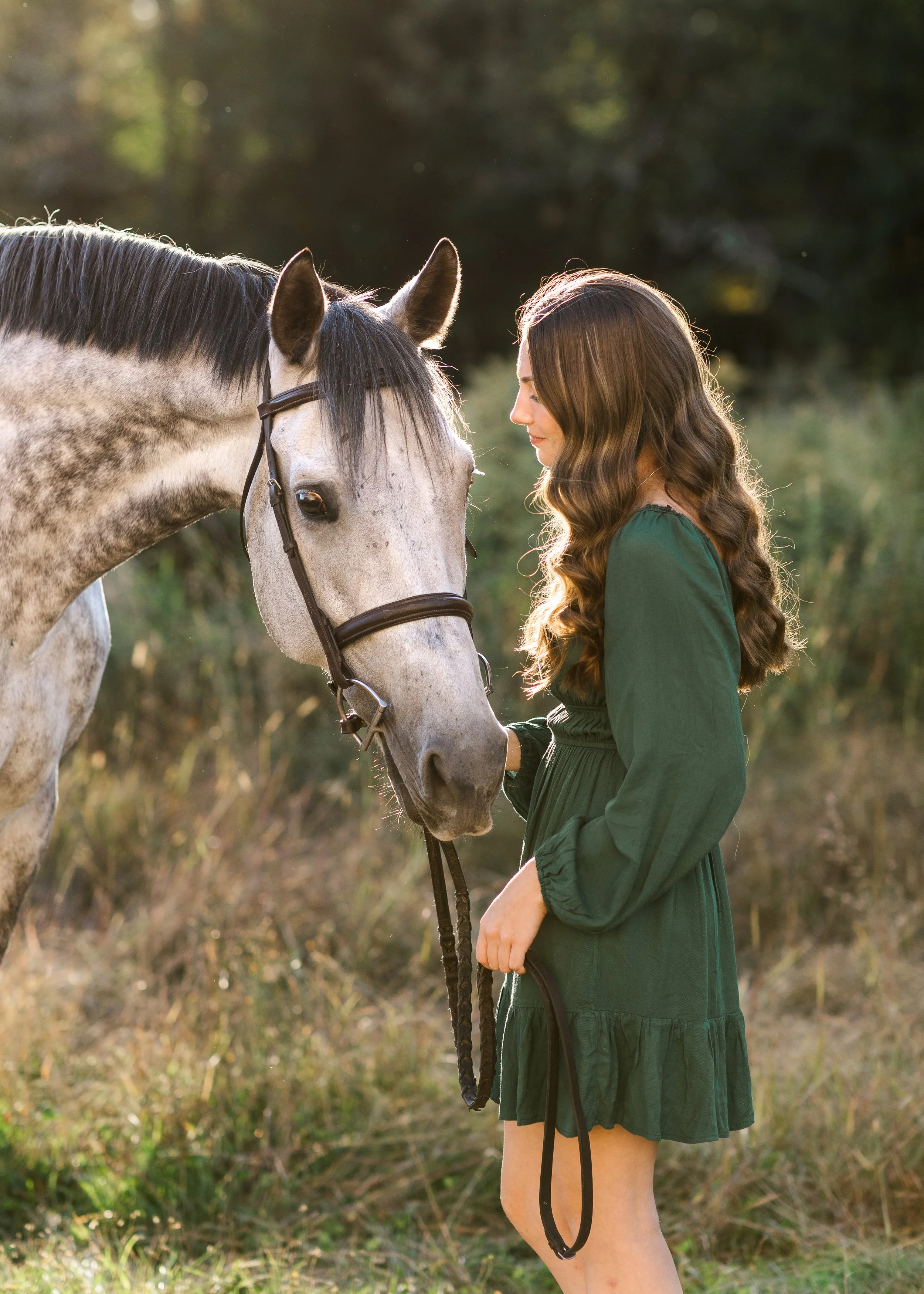 Binghamton Equine Photographer.jpg