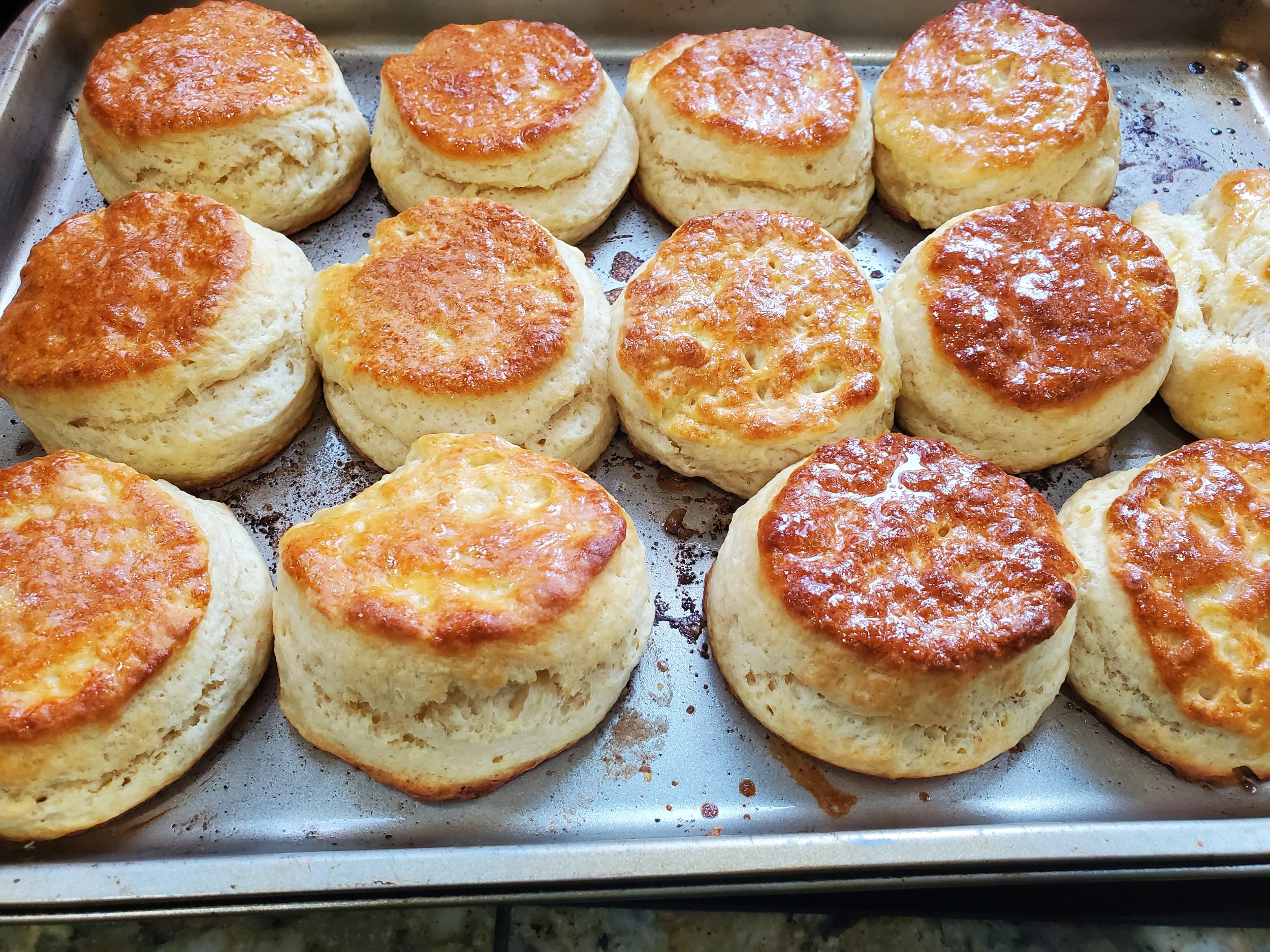 buttermilk Biscuits fresh from the oven.jpg