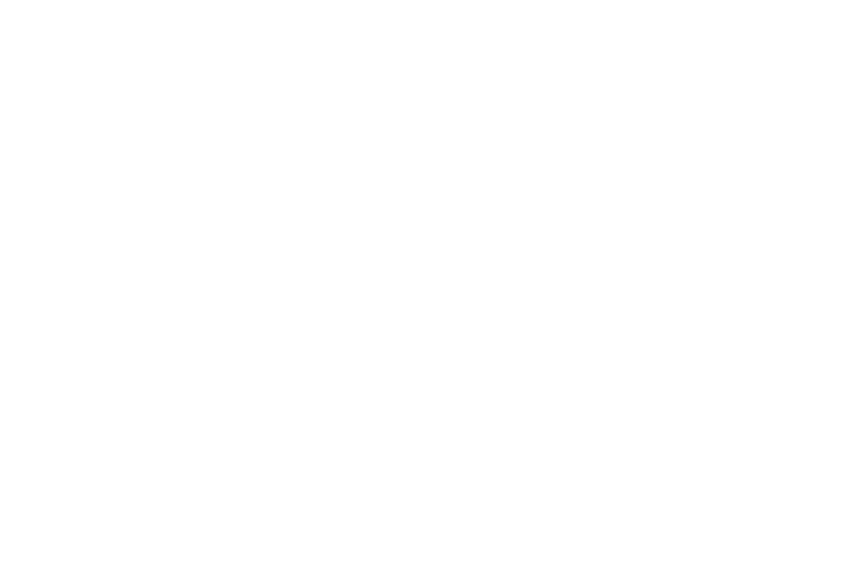 OFFICIAL SELECTION - Toronto Lift-Off Film Festival - 2021.png