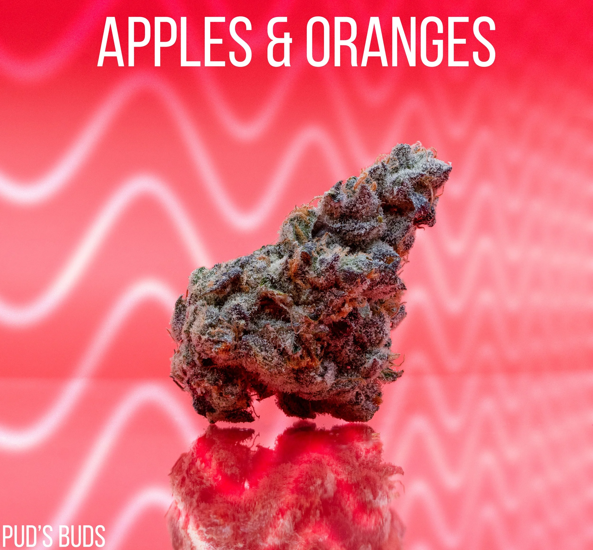 Apples and Oranges.jpg