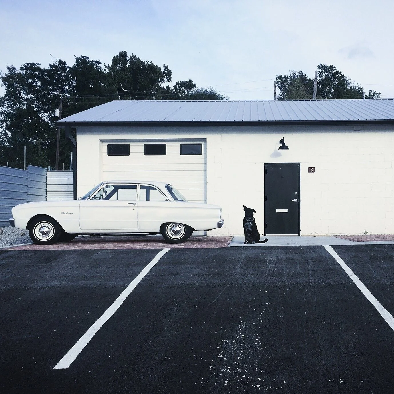 CSP Photo Studio Ext w:Dog.jpg