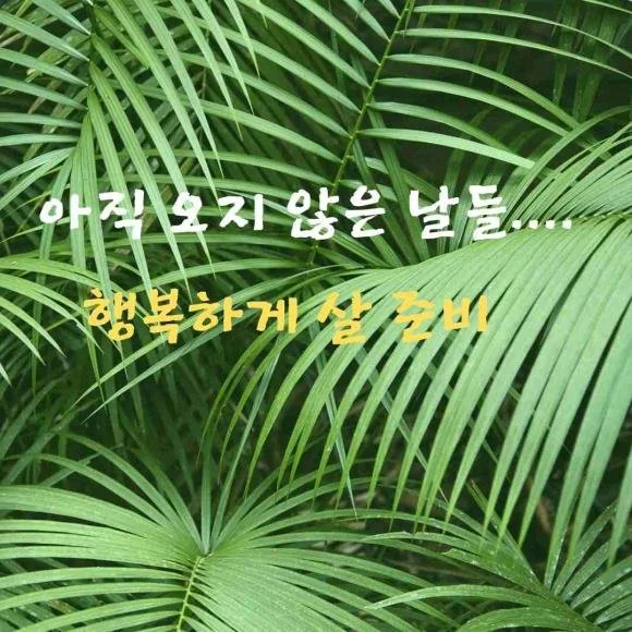 60. 아직 오지 않은 날 들을 행복하게 살 준비하는 방법은?