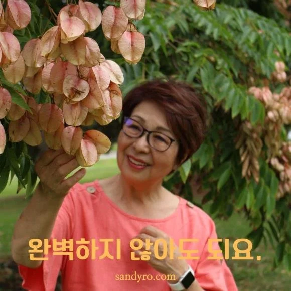 103. 완벽하지 않아도 돼요.